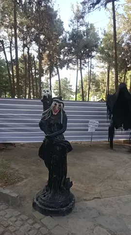 حديقه باغ مشهد 