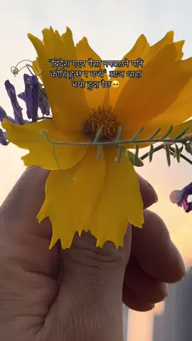 जस्तै मलाई हेर्नुस 😔 #fypシ゚ #foryoupage #captionvideo #nepaliquotes 