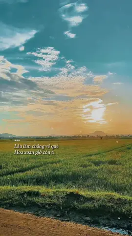 Lâu lắm chẳng về quê #antertainment #betamusic #nhachaymoingay #tramxua #hoaxoan #tienminh #nhac #lofi #lofi_lyrics 
