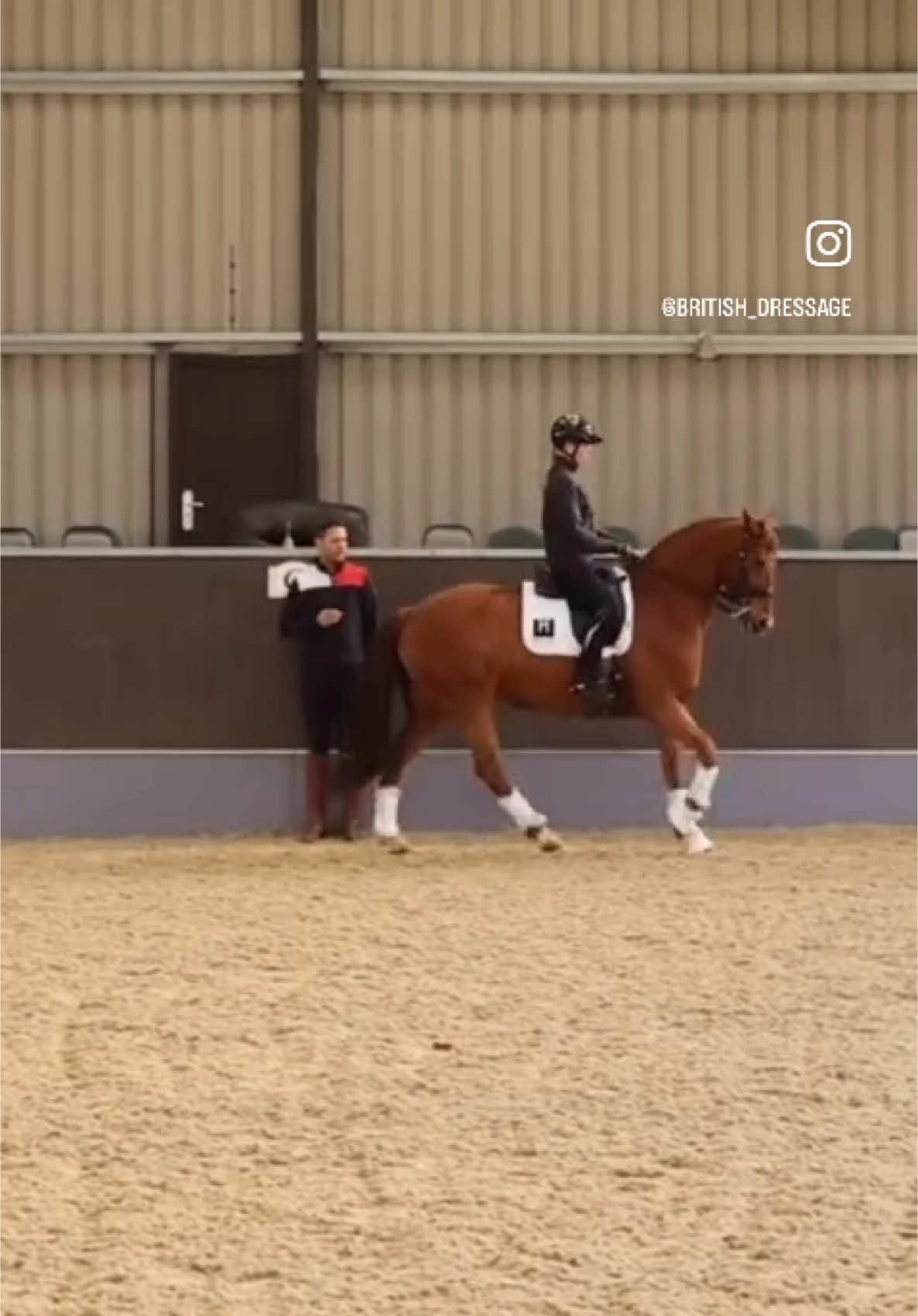 Are you aiming for Area Festival or Regional qualification? Check out our awesome digital training special issue of the BD Magazine, where Henry and India Boswell show us some great exercises for improving simple changes and more!  The digital Magazine is free to access and features over two hours of video training 🐴😍 Find it via our bio and story!  #BritishDressage #dressagetiktok #dressagehorse #dressagerider #equestrian #equestraintiktok #dressage #horse #britishdressage #areafestivals #petplanareafestivals #petplanfestivals 