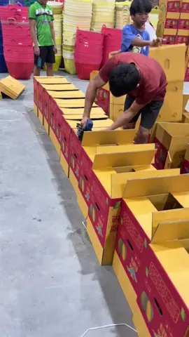 High-Speed Packing – Sealing Boxes Like a Pro! 📦⚡🔩 #PackagingLine #BoxSealing #FastPacking