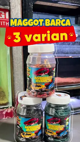 Maggot barca rebon grade a ini guys bisa jadi salasatu pilihan yang bagus untuk ikan channa kalian #pakanchanna #channaasiatica #maggotbarca #elbarcafeed #ikanhiascakokek 