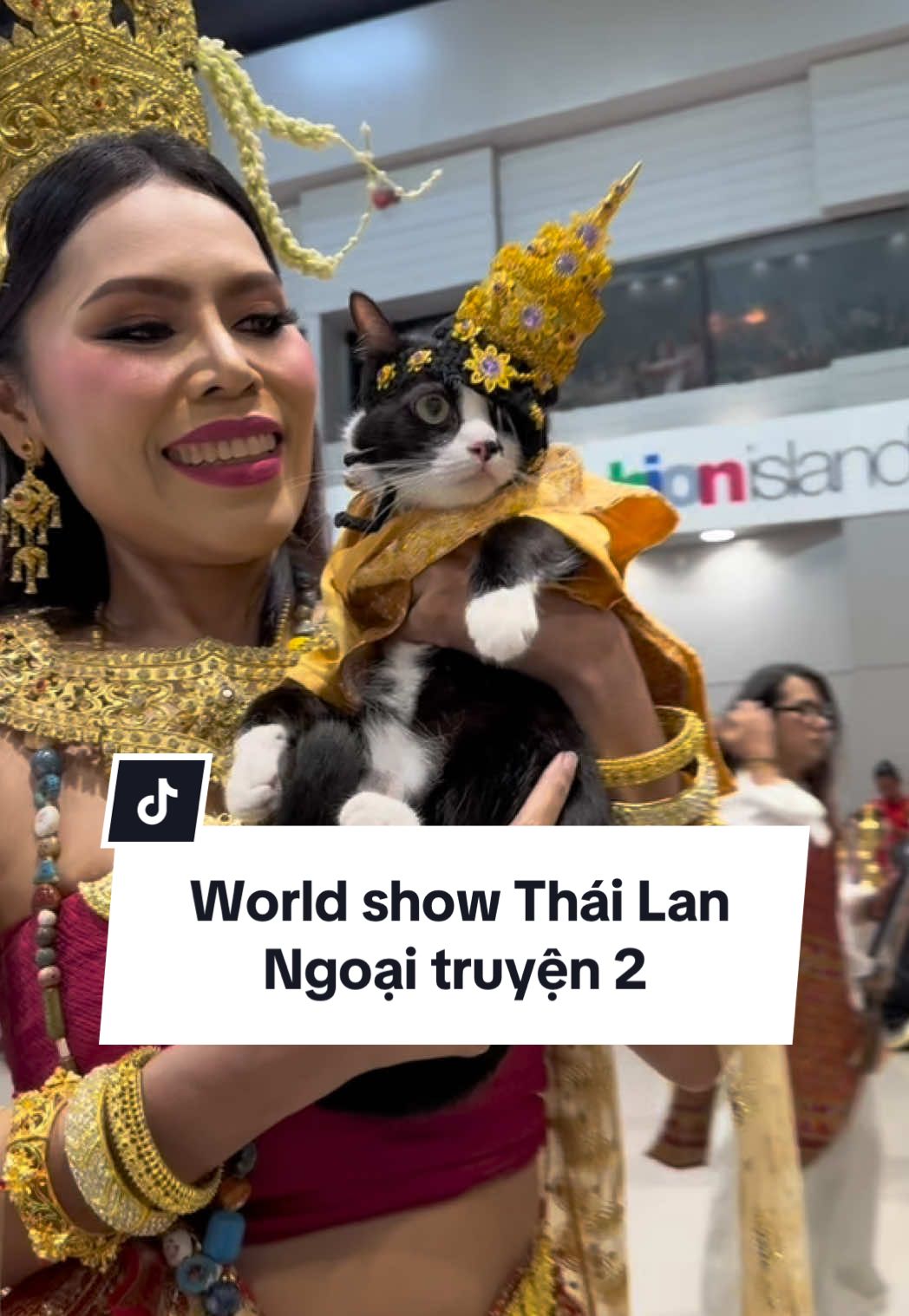 Thấy gì hay ở world show là đem dề kể cho mấy bà nghe nè. #cauvang #mecauvang #catshow #worldcatshow #wcf 