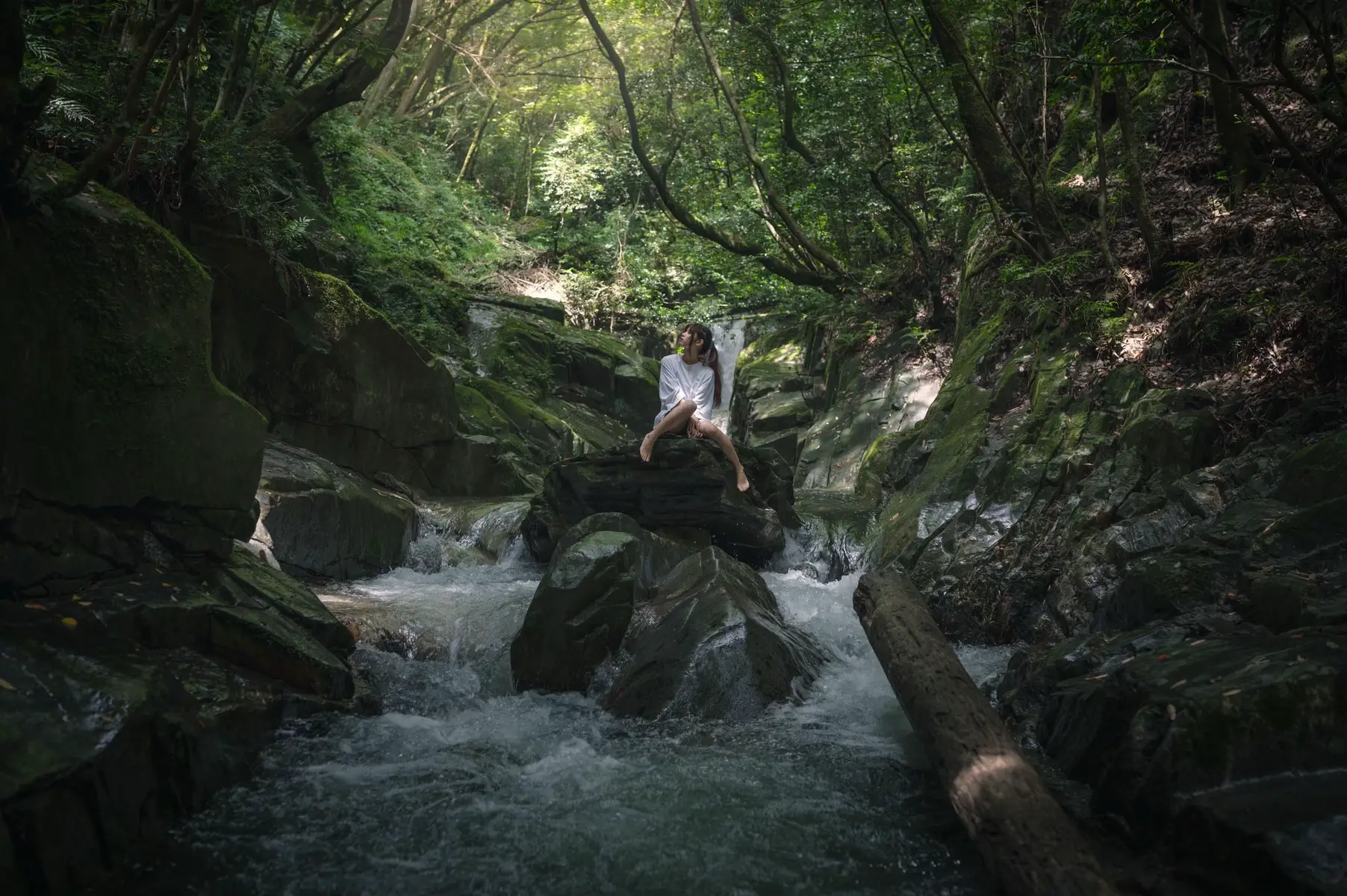 夏になったらうるさいな！って毎年言われてる。