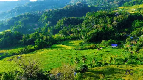 📌Asipulo, Ifugao #asipuloifugao #ifugaotiktoker #riceterrace #ifugao 