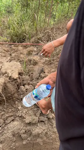 Wes pringas pringis opo tandane #fyp #drivermudapunyacerita #b80 #haulingbatubara #padahariini @𝔰𝔦𝔰𝔦 𝔱𝔢𝔯𝔞𝔫𝔤 𝔤𝔴𝔢 @Niko kurniawan @arisusanto 