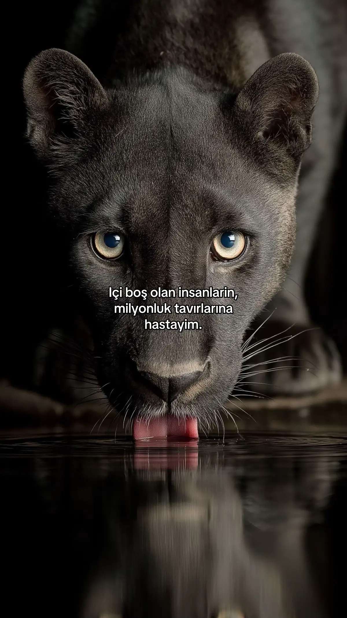 🖤#leoparizm 