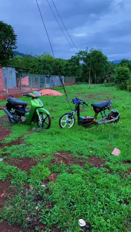2 chiếc lỏ 💚💙