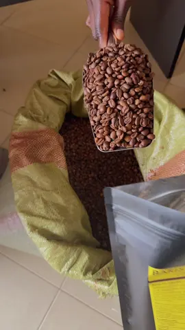 Coffee beans available at a very affordable price  Both Arabica and robusta coffee bean available….. Raw , Roasted and Ground  Make your orders 📞+256773116546 📩info@africanblendscoffee.com 🌐www.africanblendscoffee.com . . . . . #creatorsearchinsights #africa #uganda #coffee #africanblends #santetours #creatorsearchinsights2025 #africancoffee #fy #freshcoffee #arabicacoffee #coffeebeans #weighcoffee #package 