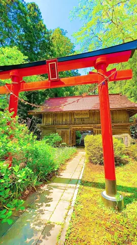 辿り着いた静音の空間。鐘を響かせ心整える神秘に包まれた静寂の風景📷 #美しい風景 #絶景 #日本の風景 #神社 #神秘的 