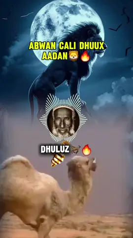 abwanku wuu ruqansaday#dhulbahante🐎 #darbi_daarood⚔🦁🔥 #leelkase_mohamed🦋🇸🇸 