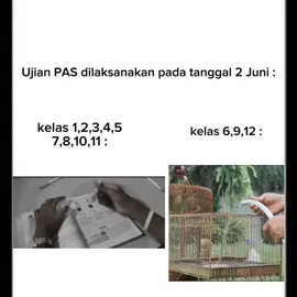 pengangguran pemula🗿#ujiansekolah #pas #fyp #fypppppppppppppp #relatable #xybca 