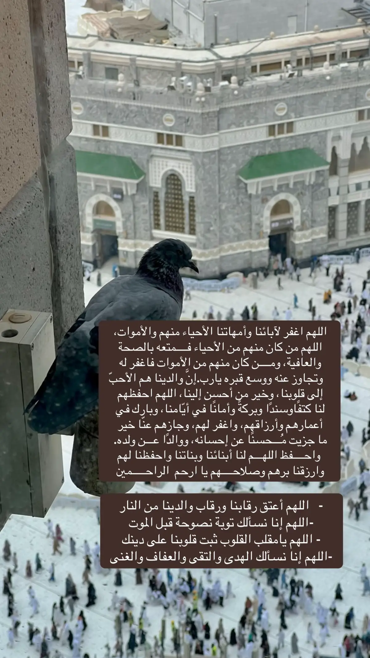 #اللهم_صل_وسلم_على_نبينا_محمد #اللهم_ارحم_موتانا_وموتى_المسلمين #ربي_اغفرلي_ولي_والدي_للمسلمين #كبروا_ليبلغ_تكبيركم_عنان_السماء #مكه_المكرمه #لاحول_ولا_قوة_الا_بالله_العلي_العظيم #سبحان_الله_وبحمده_سبحان_الله_العظيم #استغفرالله_العظيم_واتوب_اليه 