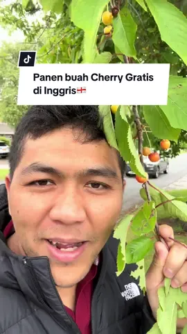 Saatnya panen buah liar lagi di Inggris #buahliar #buahlokal #buahliardiinggris #buahgratis #fyp #fyppppppppppppppppppppppp #buahbuahan #misterfadlidutabuahindonesia #misterfadli #tiktokaceh #tiktokacehviral #tiktokacehcommunity #tiktokgayo #tiktokgayolues 