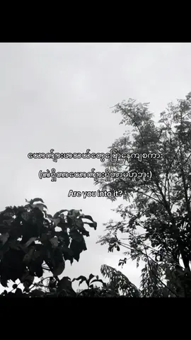 No caption#fypppppppppppppppppppppppppp#fypシ゚#foryou#fyp#foryou#foryou#foryou#foryou#foryou 