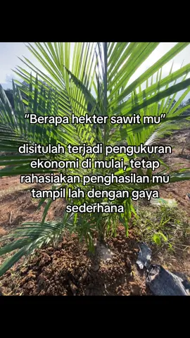 #petanisawit #petaniindonesia🇮🇩🇮🇩🇮🇩🌿🌿 #perintismuda #petanimuda #sawitontiktok🌴🌴 #petanisawitindonesia🇮🇩 