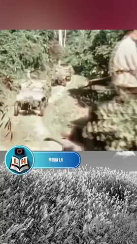 Quân đội ta quân đội anh hùng #vietnam #lichsuvietnam #xuhuongtiktok #ilovetiktok