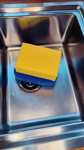 Oh pinesol, how I’ve missed you 🤤 new sponge break in.. that blue one is soo lush from @SimplySuds1214 😍 you know I’ve filmed a blue combo on it tho but I feel my page is too blue atm (for everyone else not for me) haha! #asmr #spongesqueezing #sink #blue #pinesol #sudsy #cleaning #satisfyingvideos #fyp #visualasmr 