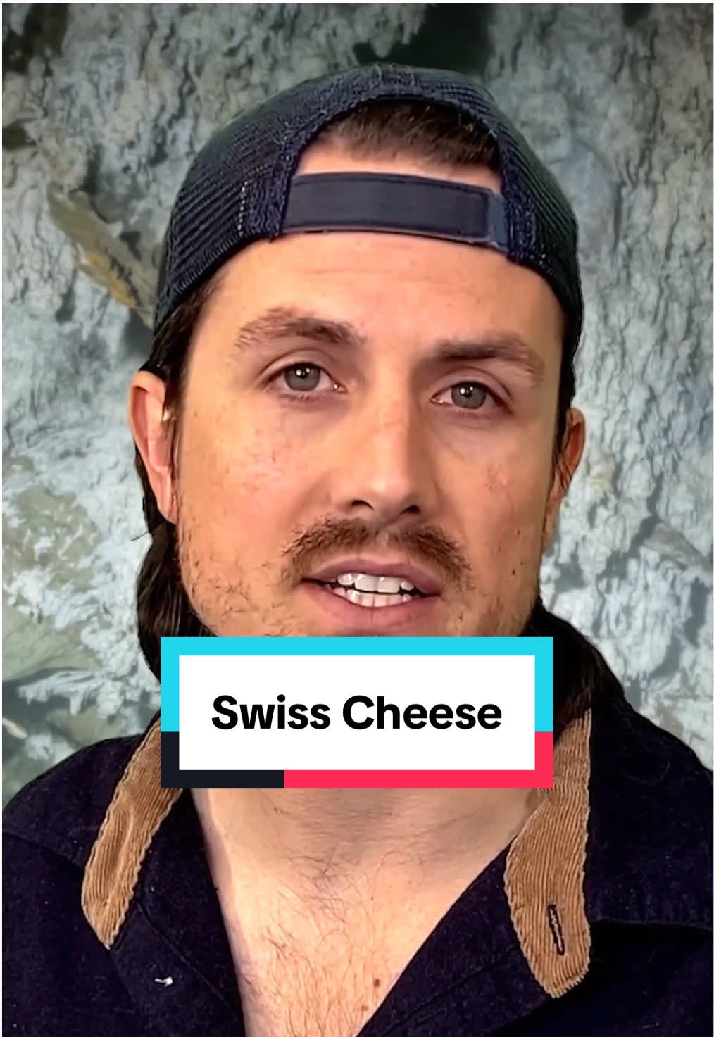 Swiss Cheese