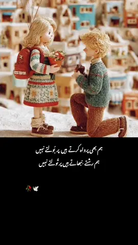ہم بھی پرواہ کرتے ہیں #makeitviral #viewsproblem #unfrezzmyaccount #growmyaccount #urdupoetry #fypppppppppppppp #standwithkashmir #shayari #foryou #foryoupage 