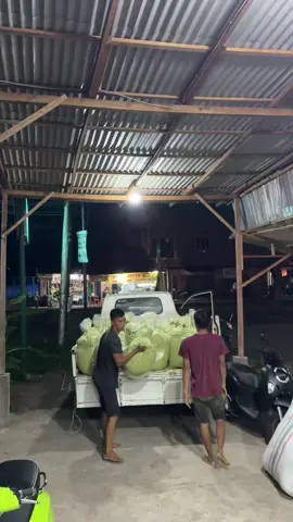 #bubuk #bubukhijau #supergreen #supergreens #puri #purik #daunpurik #daunkratoom #daunkeratom #bubukpurik #bubukpuri #bubukpurileviatha #bubukdaunpurik #bubukkeratom 