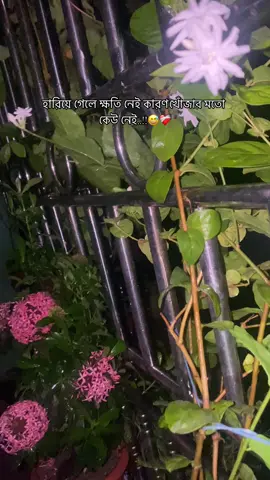 😅❤️‍🩹#vairal_video_tiktok_foryou_page #অজানা #unfrezzmyaccount🙏 @TikTok Bangladesh 