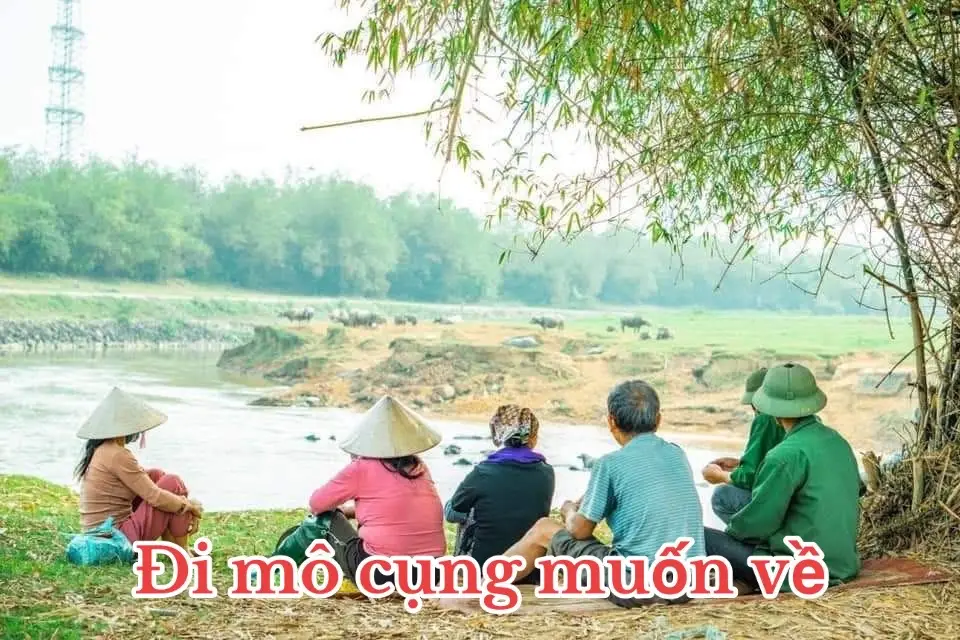 Hình bóng Quê nhà#thanhchuong37e1 #nghệan #nguoingheantaidailoan🇹🇼🇻🇳 #thaphuongxunguoi #nhachaymoingay #nghệan37 #fyppppppppppppppppppppppp 