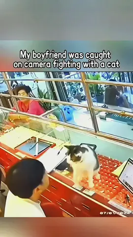 Try not to laugh 😂😂😂 #animals #funny #pet #dog #funnyanimals #funnyvideos #haha #dogsoftiktok #cat #funnypets #PetsOfTikTok 