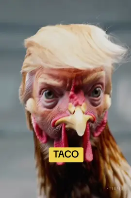 The term 