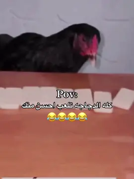 #العراق 😂😂