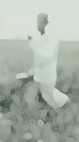 # Ewr, Alamin lslam  #CapCut #viralreelschallenge2025viralreelschallenge #capcutvelocityapcutvelocity🌹❤️ 