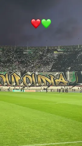 #مولوديةالجزائر💚♥️ #moloudia💚❤ #mca #نادي_الشعب #❤️💚