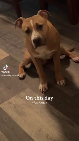 🤣🤣🤣🤣