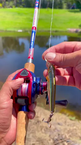 Red, White, and Blue all week long 🇺🇸 Defender rod and reel from FAVORITEUSA.COM #bassfishing #favoritefishing #fishinglife #fishing #catchandrelease #fishon #angler 