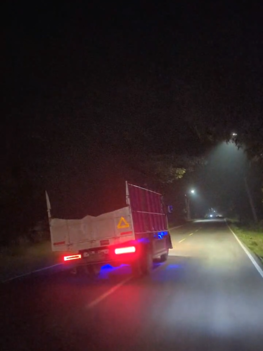 pucing #fyp #katakata #trukoleng #teamstutjemberlumajang #trukcabe 