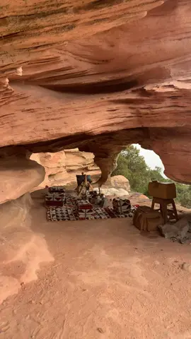 تنمية 🤩