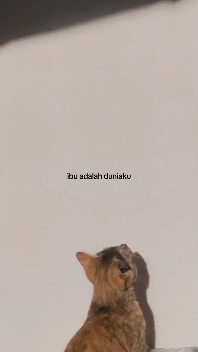 #boysdontcry #katamotivasi #fypp 