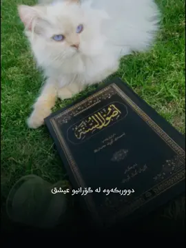 #ابن_وردي #اعتزل_ذكر_الاغاني_والغزل #إسلام #مسلم 