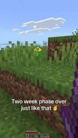 Steve ain’t even safe #Minecraft #wallywest #fyp 