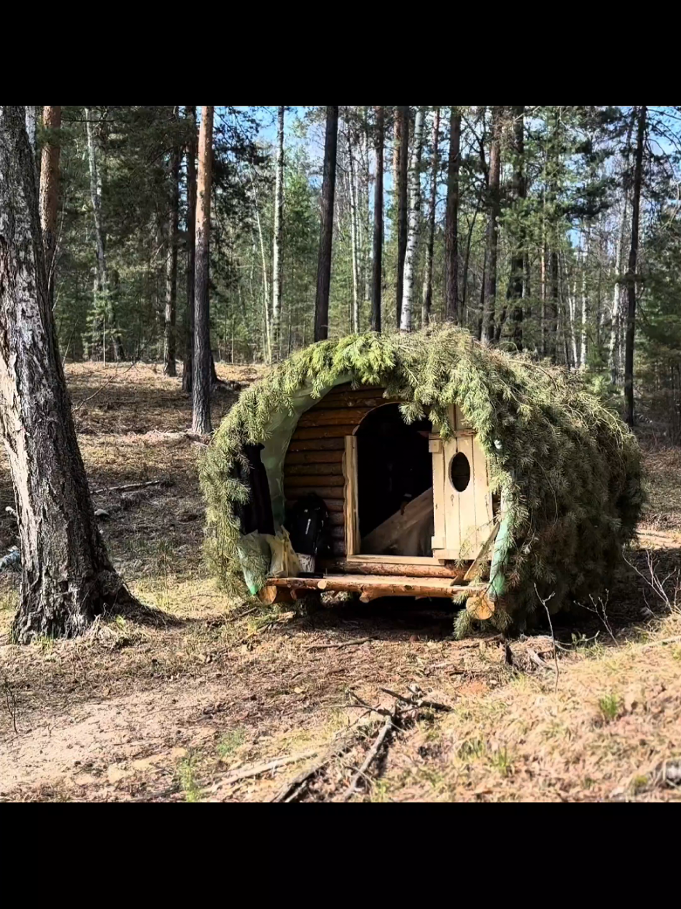 #survival #Outdoors #camping #bushcraft #shelter 