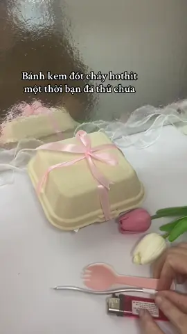 Bánh kem đốt cháy hothit một thời bạn đã thử chưa #tiembanhchamii #xuhuong #banhsinhnhat #banhkemdotchay #burncake #kỷ niệm xưa 