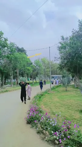 Beauty of GU Dera Ismail Khan..... ❣️❣️❣️ #everyone #viral #viralvideo #foryou #moreviews #gomaluniversity #graduate #natural #beauty 