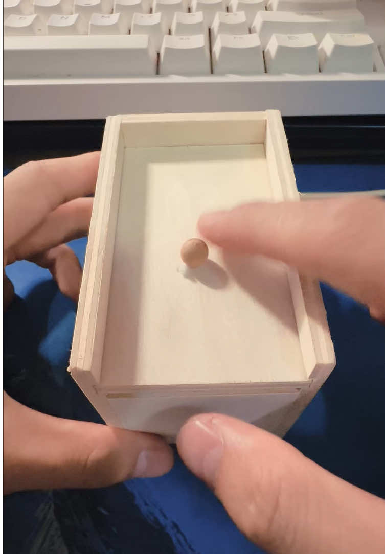 Spider Prank box-perfect gift of ideas fun#entertainment #cheap #TikTokShop 