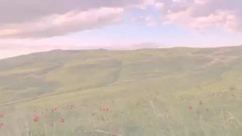 شوكي الك دوم يزيد🤍 . . . . . . . . .#يامولاي_يابا_عبدالله_الحسين #مصممه_اهل_البيت_عليهم_السلام #خادمه_ابا_عبدالله_الحسين #شيعة_الامام_علي_عليه_السلام #اني_شيعيه_وافتخر_باميري_الامام_علي #اللهم_اشهد_اني_والـيت_علي_وال_بيته #ياصاحب_الزمان🤎✨✨ #تصاميمي😔🤎 