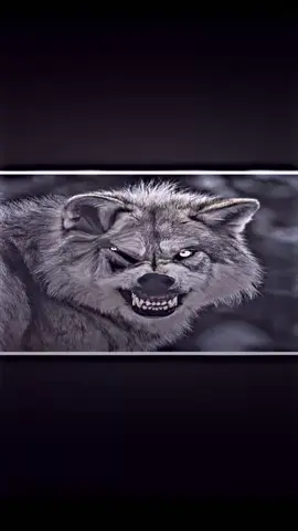 خلك ذيب بمواقفك وخلي الكل يكرهك🦅✌🏻..! . #ابو_سالم  . #تصميم_فيديوهات🎶🎤🎬 . . #مشاهير_تيك_توك 