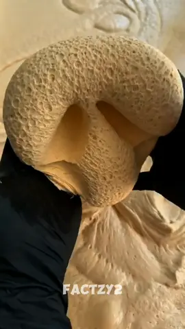 #facts #curiosity #randomfacts #satisfyingvideo #learning #randomcuriosities #satisfying #randomfact 
