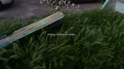 #щп #щитпостинг #щитпост 