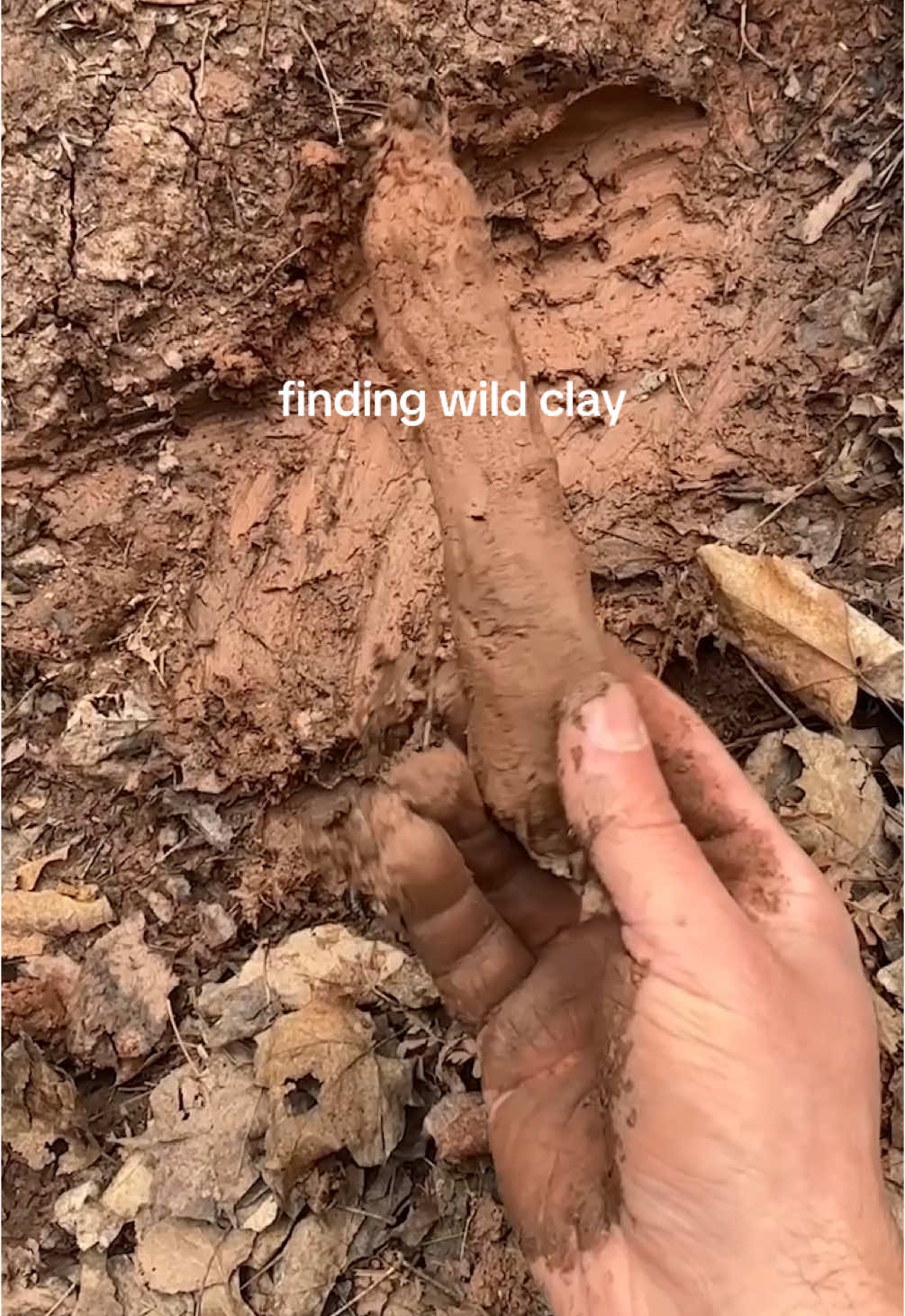 the hunt for wild clay #pottery #asmr 