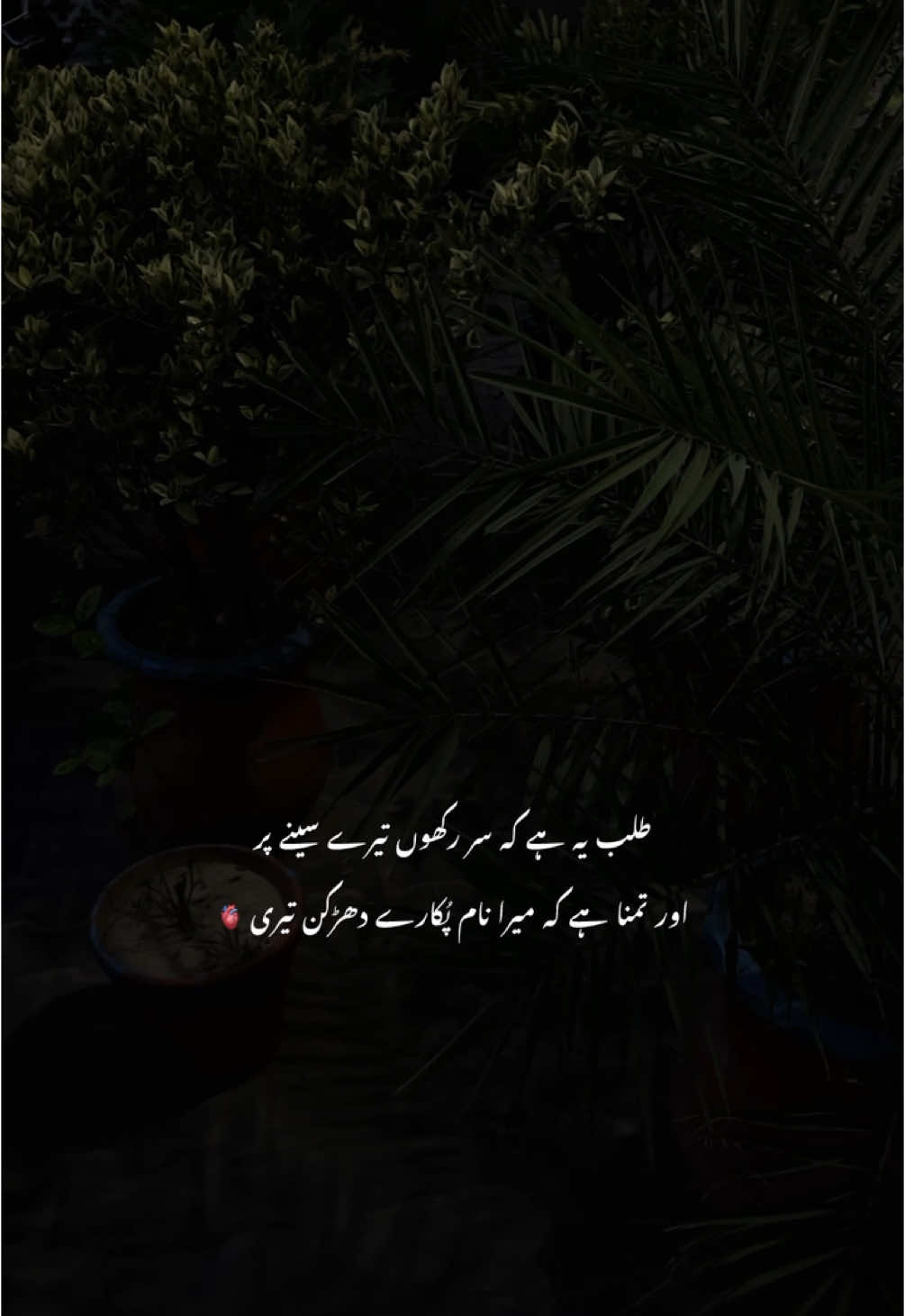💘 l #hehe_daniii #fyp #fypツ #foryouu #foryoupage #sad #sadshayari #sadpoetry #urdu #urdushayari #urdupoetry 