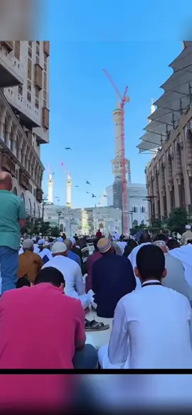 Allah Allah Allah #islamic_video #fyp #mashallah😍😍😍😍😍 #trending 